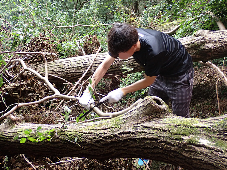 倒木と絡まった細い木や枝は手ノコを使って取り除いていきます
