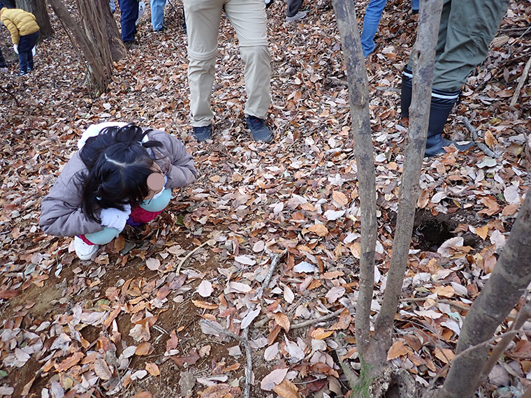 アナグマの巣穴を見つけると子どもたちはみんなのぞき込んで観察していました
