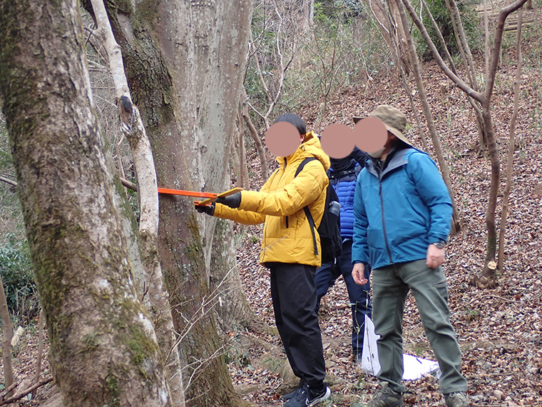 専用の計測機器を使い、色々な太さの木を測ります