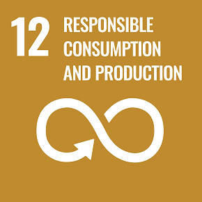 12.Responsible consumption and production