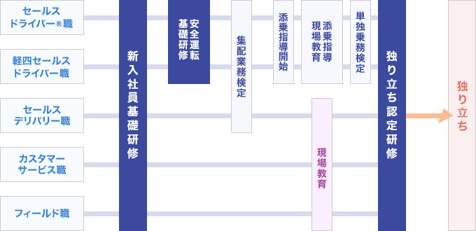 新入社員研修フロー