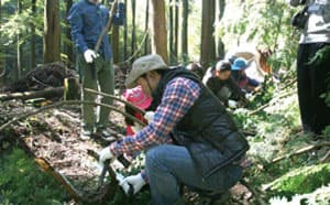 2007年～ 森を再生させる取り組み