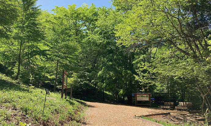 広々としたエントランス広場