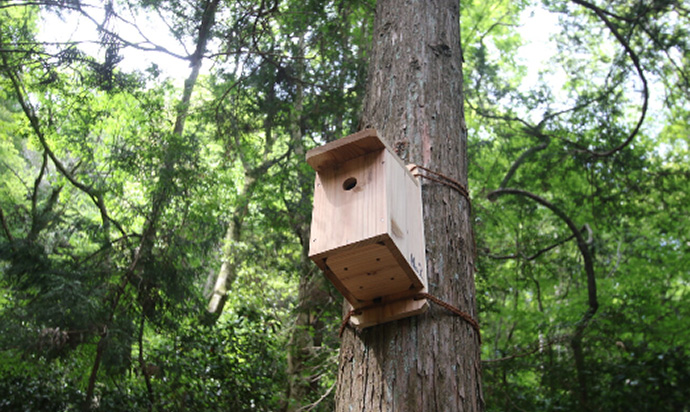 2枚目：シジュウカラなどの小さな野鳥を誘引する巣箱