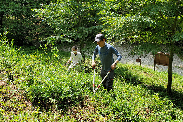 植樹した苗木周りの雑草の下草刈り