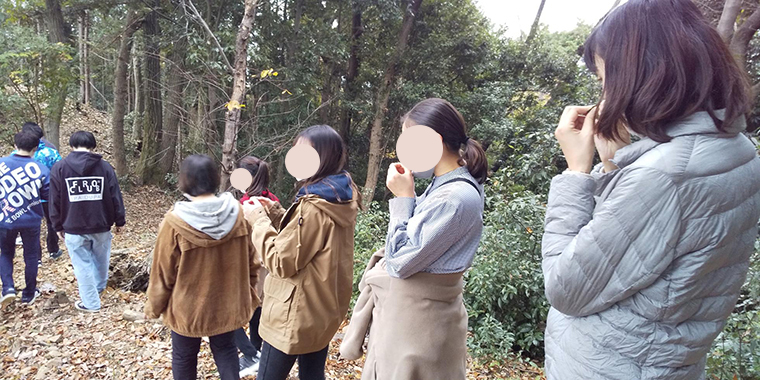 柑橘系の香りなど、葉っぱによって香りはさまざま