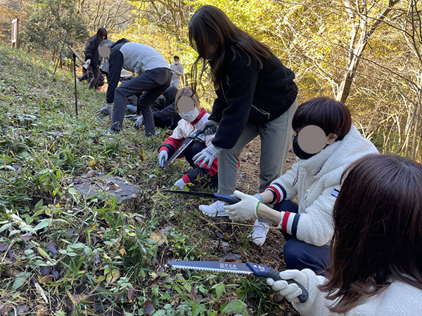 のこぎりを使って草を刈ります
