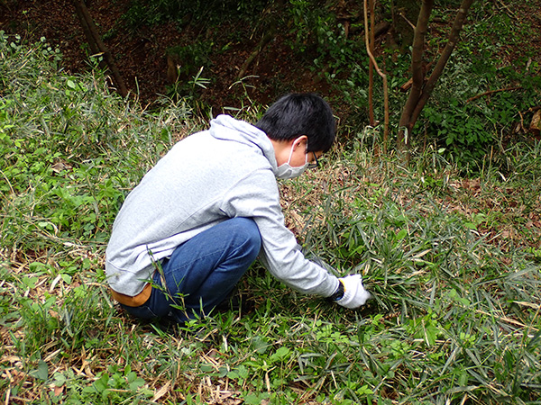 初めて保全活動に参加した学生。「開拓しているみたいで楽しかった」と話していました