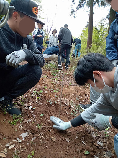 穴の中に苗木を埋め、その上から土をかぶせます