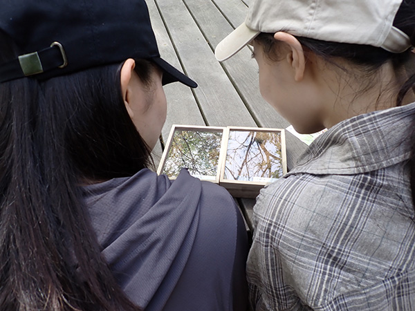 森内にかけた鳥の巣箱の中から出てきたねぐらの標本を見ています