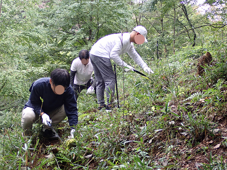 まずは植樹する場所の整備をします