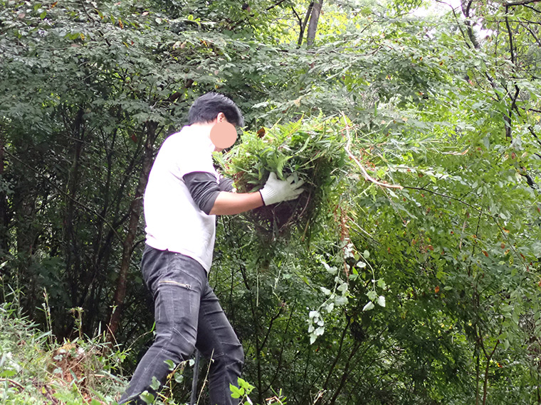 大量の雑草を刈ることができました