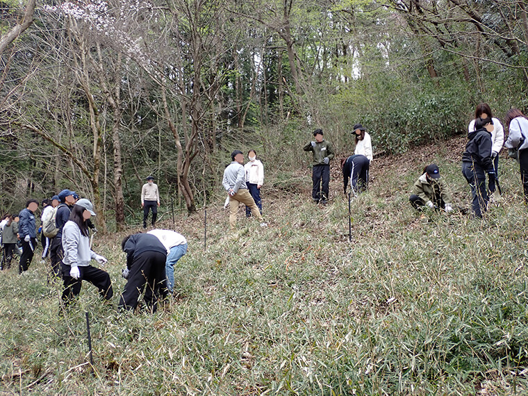 植樹をする場所は、グループごとに日当たりや他の木の場所などを相談しながら決めました