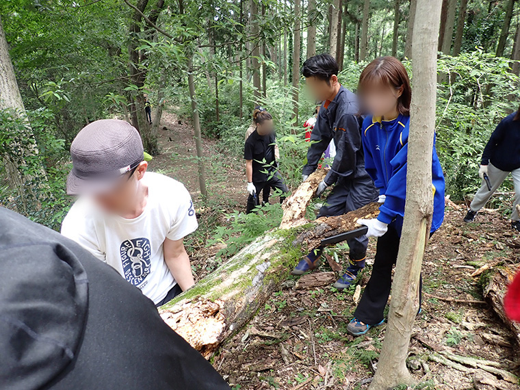 短く切った倒木は周遊道の端にまとめて置いておきます