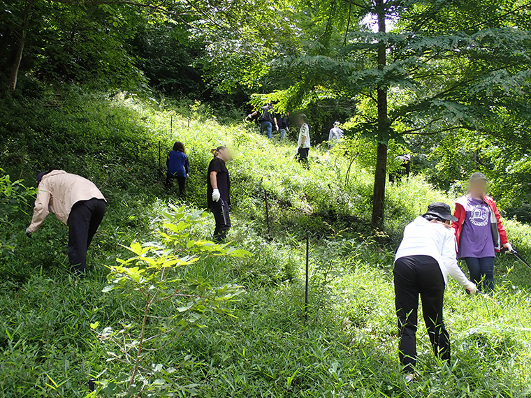 夏本番を前に植樹地周辺は雑草に覆われていたため、木の成長を妨げないように整備しました