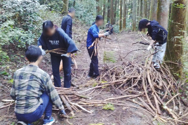 拾い集めた落枝を一カ所に置く