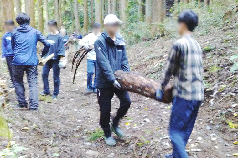 杉の木は重量があるため力を合わせて運ぶ