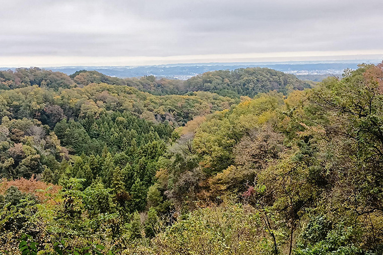 ヤッホー丘からの眺めは見通しがよく、紅葉越しに遠い埼玉方面の景色まではっきりと見ることができました