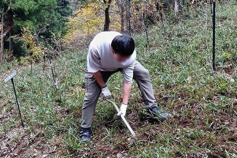 次に植樹する場所を決めたら穴を掘り…