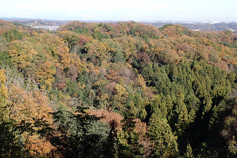 ヤッホー丘からの景色（標高300m）
