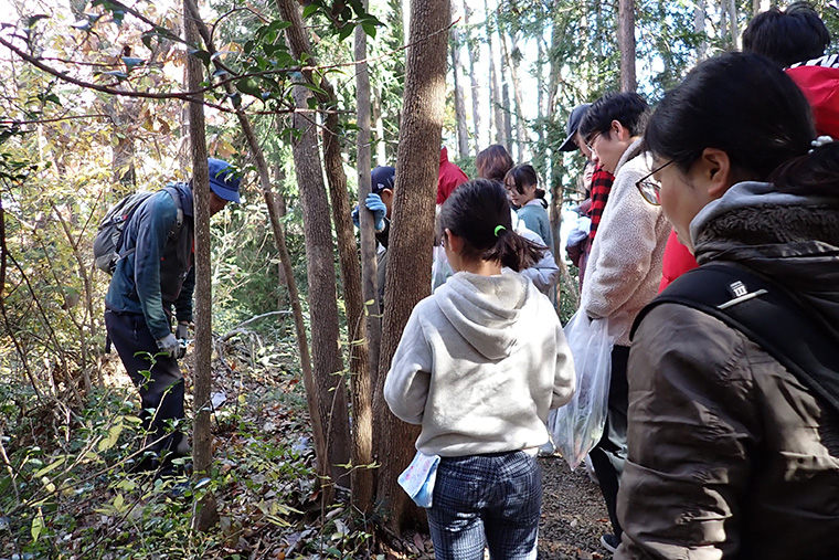 柿の木がなぜこんな場所に生えているの?サルが人里から持ってきて、その柿をタヌキが食べ、タヌキがこの場所で種の混ざったフンをした!?
