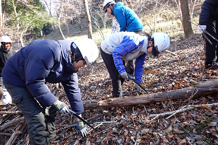 倒れた木の細かい枝は手ノコできれいに整えます