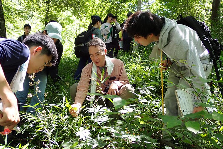 ファシリテーター(専門家)に種名を教えてもらいながら指定された範囲にどんな植物があるか調査します
