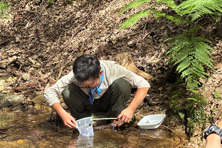 今回は前回より上流での調査のため、見つかる水生生物に違いも