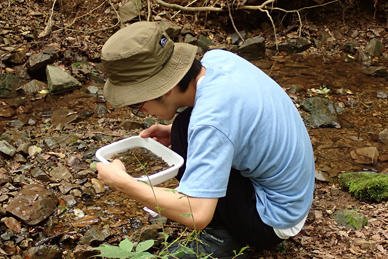 今回は前回より上流での調査のため、見つかる水生生物に違いも