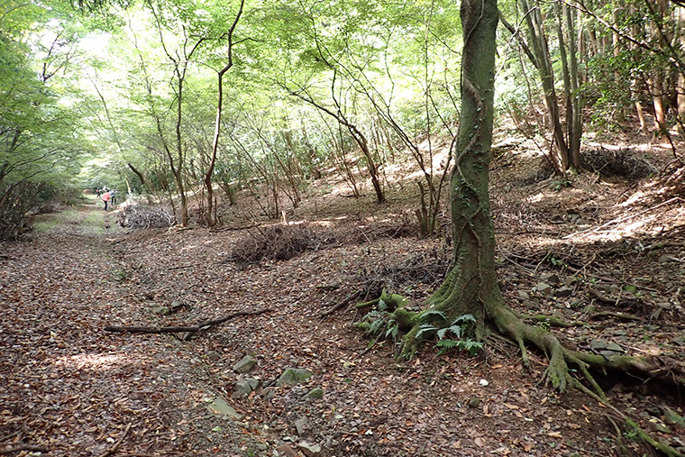 整備後明るい光が差し込むエリアになりました