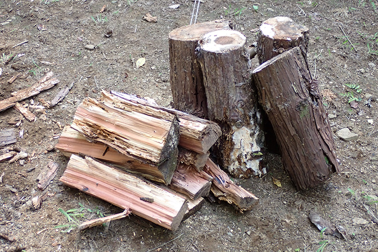 参加者で交代しながら、玉切りにした木を割り、薪にしていきます