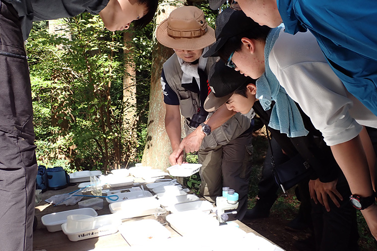 ファシリテーターからそれぞれの生き物の特徴や見分け方などを教えてもらいます