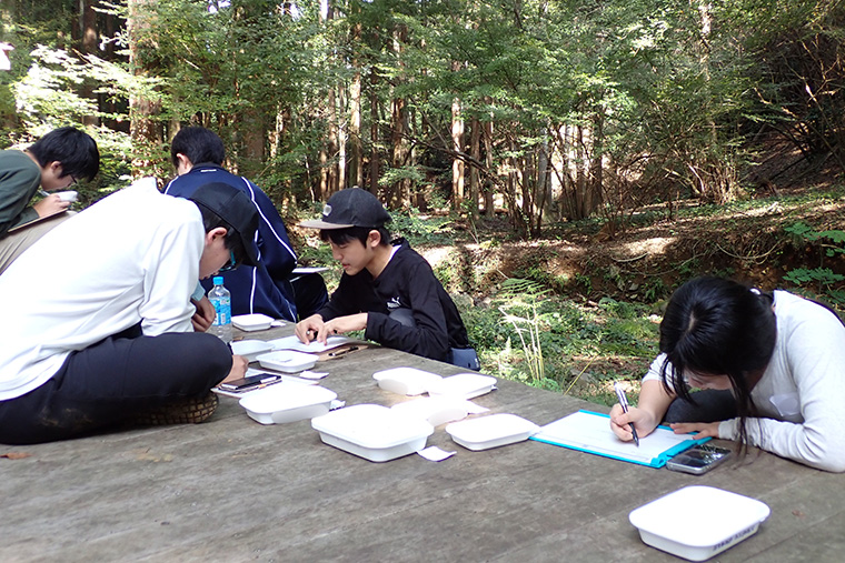 最後は見つけた生き物の記録シートを作成しました