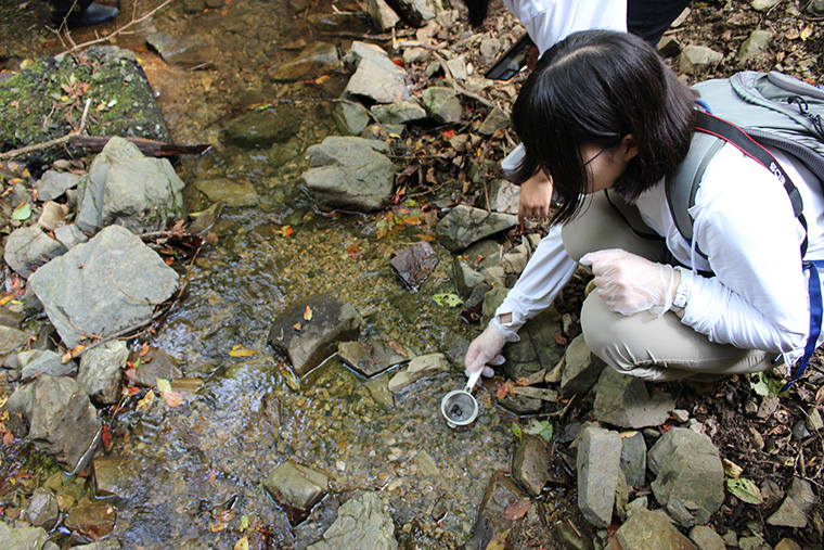採取した動物の糞を茶こしですすぎます