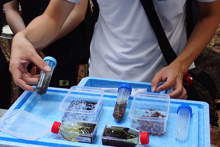 フンをすすぎ、残った種子を採取