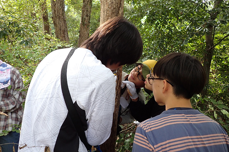 枯れている木の皮をはがすと出てきた生き物に興味津々です