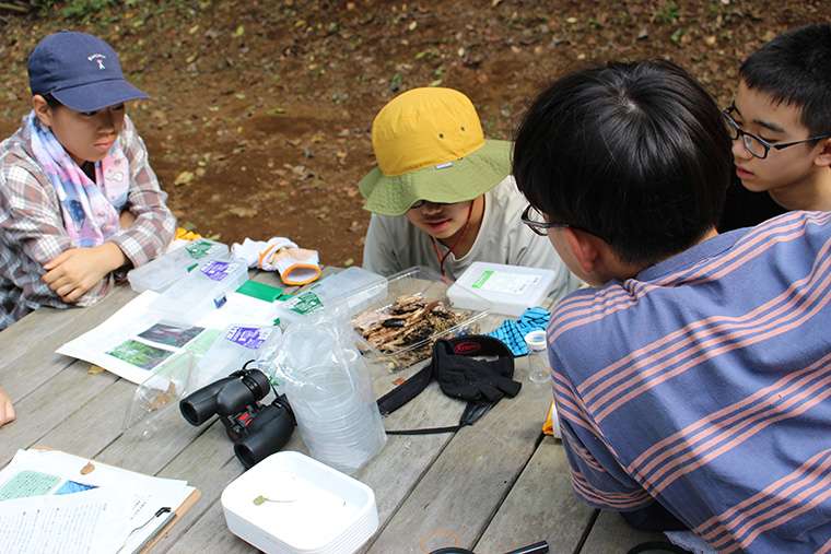 採集した生き物をじっくり観察し記録します