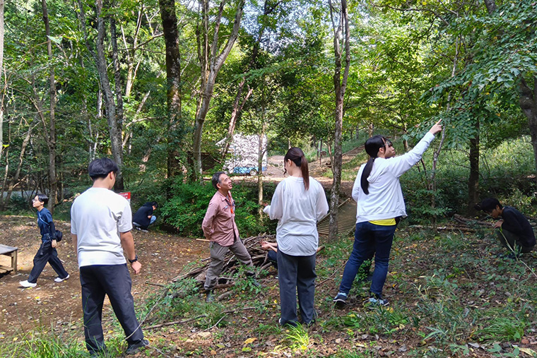 木になっている実を採取