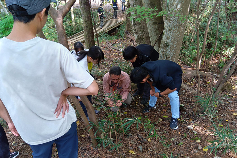 キノコを見つけるとファシリテーターからそのキノコの構造や特徴について説明
