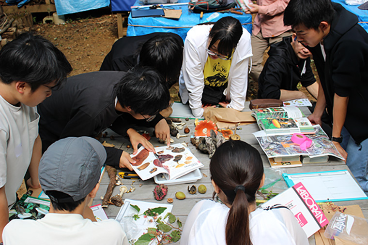 採集したキノコを並べると圧巻です。細部まで詳しく観察し、図鑑を使って種を同定しました