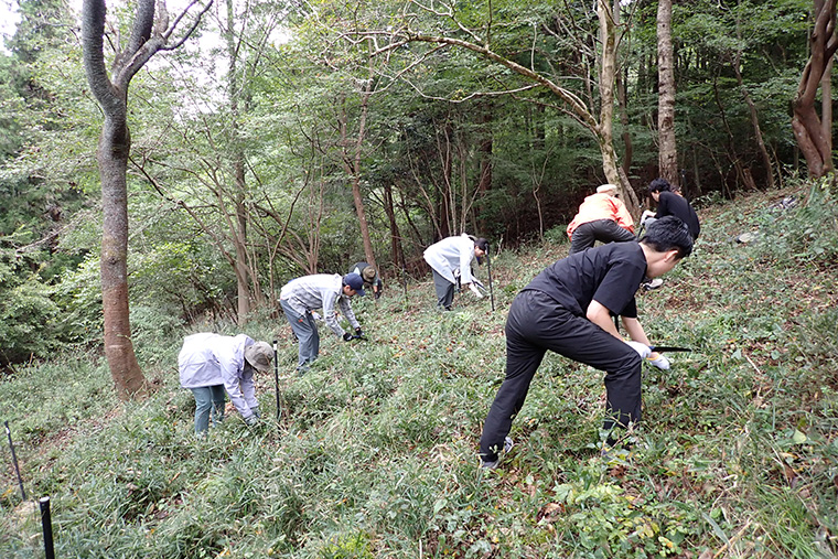 苗木を植えるために土地を整える「地拵え（じごしらえ）」からスタートです