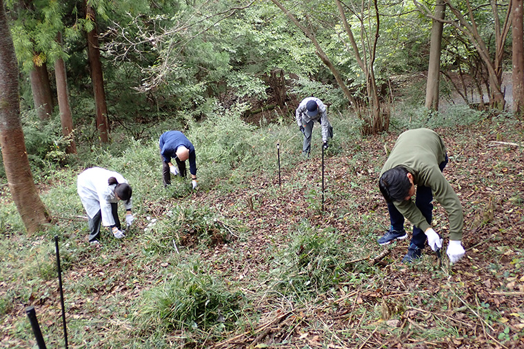 下草が刈られ、地面が見えるようになりました
