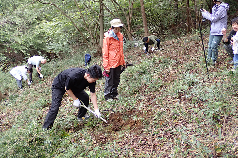 植樹体験