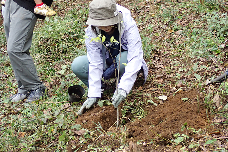 植樹体験