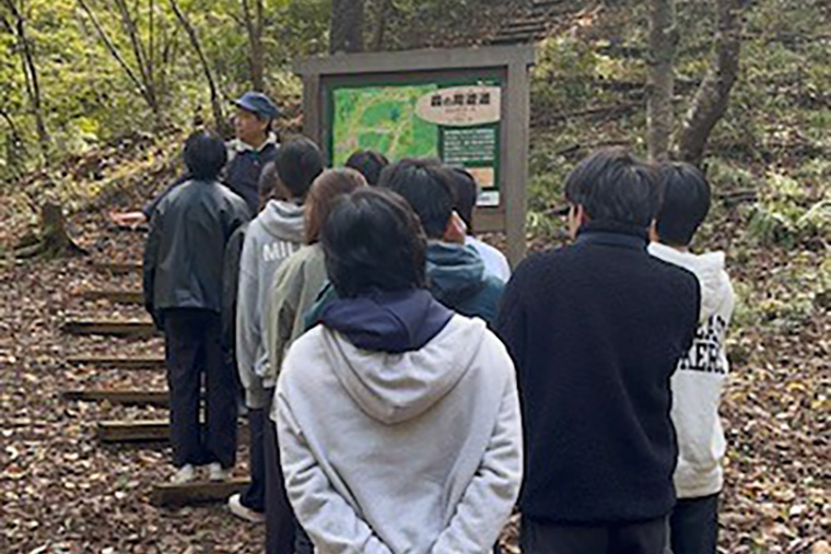 さまざまな生き物や植物を見ることができました