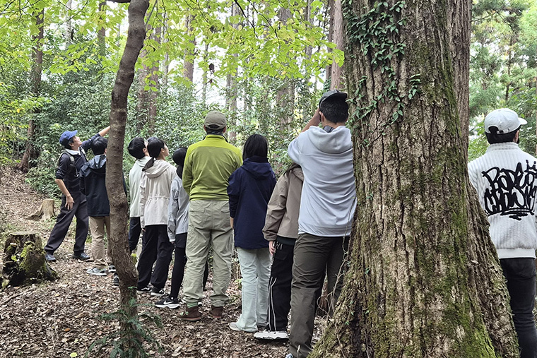 近年問題となっている「ナラ枯れ病」を知り、森林を手入れすることの大切さを学びました