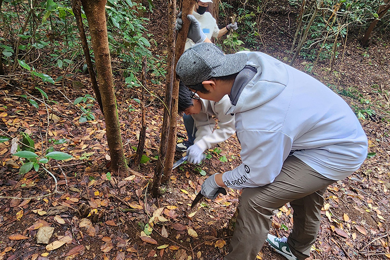 各自どんどん木を切り進めていきます