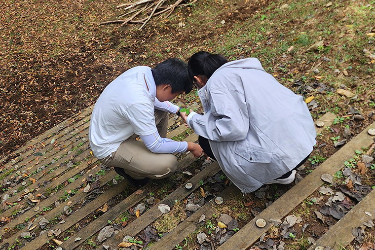 色見本を片手に手分けして似た色を持つものを探しています