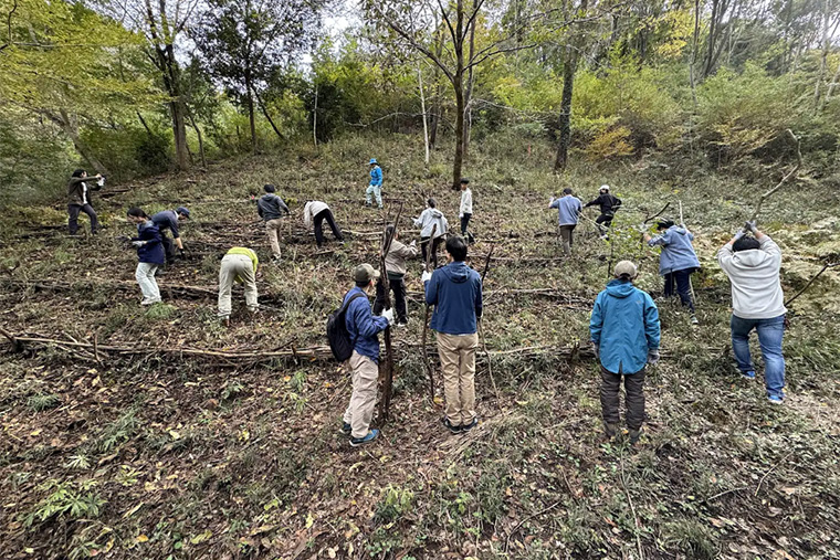 動物の通行によって乱れた粗朶（そだ）を整備しました