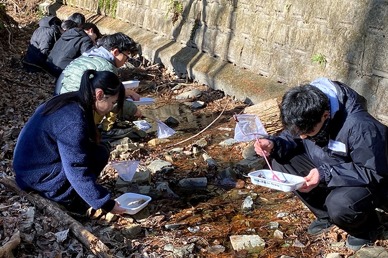 1月でもこの日は比較的暖かく、これまでと同様、沢の中に入って生き物を探し、捕まえました